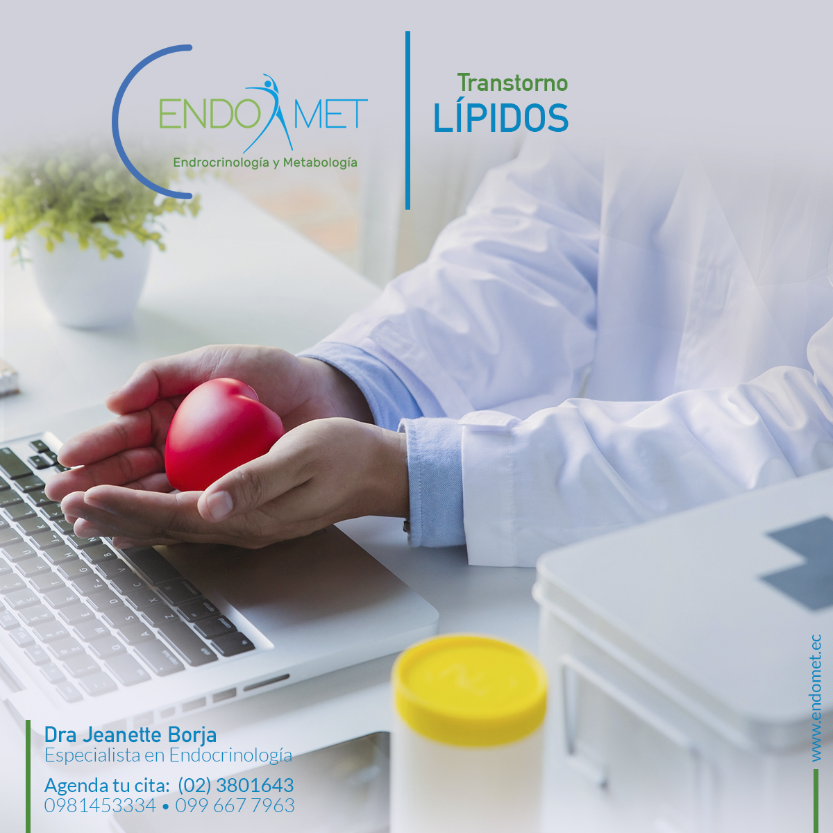LIPIDOS